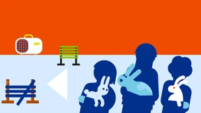 Nur der Rammler ist nicht interessiert