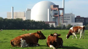 Letzte Hoffnung Atomkraft