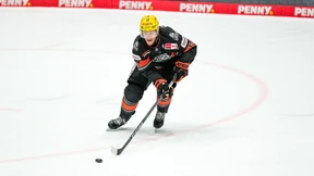 Ein unberechenbarer Löwen-Sturm