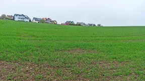 Wie eine Taunusgemeinde um Großstädter wirbt