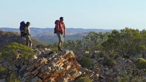 Ikonen im  Breitwandformat