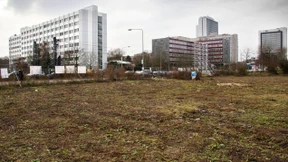 Gut 300 Hektar für den Wohnungsbau 