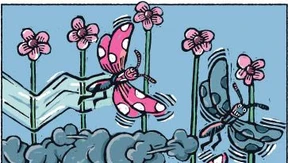 Kaufe nur, was Du kennst