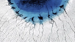 „Wir hätten diese Forschung viel früher beginnen müssen“