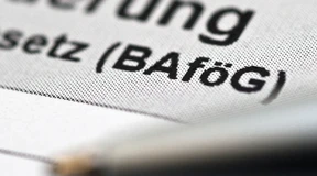 Mehr von dem, was kaum jemand will