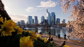 „Es gibt Grenzen des Wachstums“