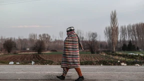 Die Wurzeln des Übels