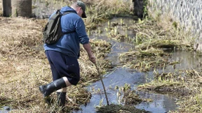 Wo versteckt sich das Krokodil von Ortenberg?