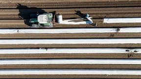 EU-Staaten beschließen Entlastung für Landwirte