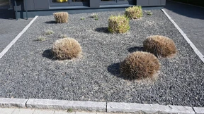 Ohne Schotter, mit Schotter