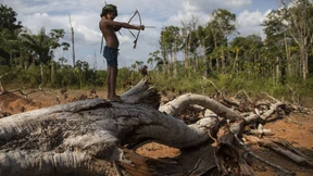 Stimmen aus dem brasilianischen Regenwald