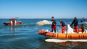 Watt für ein Popcorn-Schock