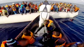 Leichen in den Netzen