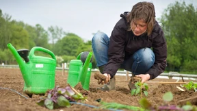 Vom Büro direkt auf den Acker