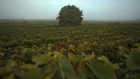 „Wir sind an einem Wendepunkt“