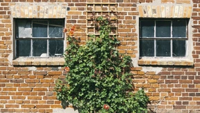 Der Preis des Landhaustraums