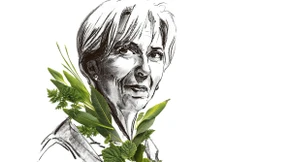 Die Risiken grüner Geldpolitik