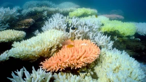 Kurs auf den „Point of no Return“