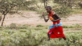 Die Luft voller Leiber