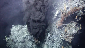 Begann das Leben an heißen Quellen am Meeresgrund?