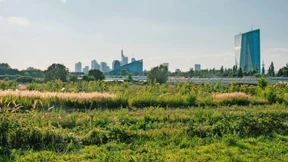 „Die Finanzbranche finanziert alles, was unsere Lebensgrundlagen zerstört“