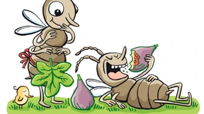 Warum Feigen nicht vegan sind