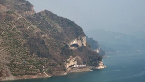 „Puppy Mountain“ fasziniert die Social-Media-Welt