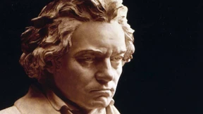 Brüder und Schwestern in Beethoven