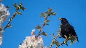 Die neue Viruswelle kommt bestimmt