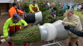 Die Deutschen arbeiten mehr