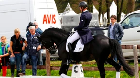 Verbale Eiertänze um Totilas