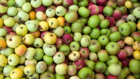 Norbert Gansels später Sieg 