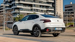 Mühsam ernährt sich das Eichhörnchen