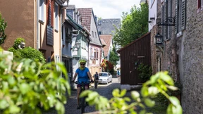 Fachwerk und Naturerlebnisse auf zwei Rädern erleben
