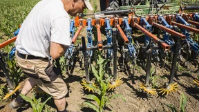 Lehrjahre eines Biobauern