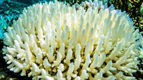 Es darf ruhig noch heißer sein