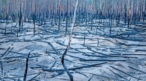 Die zerbrochene Klima-Allianz für „Net Zero“