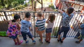 Die Kitas bleiben rappelvoll