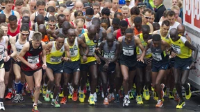 Auch die Hasen jagen den Weltrekord