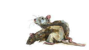 Unverhoffte Geschenke