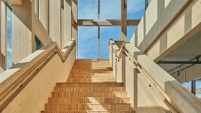 Mit Holzhäusern das Klima retten