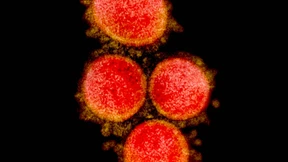 Das Virus als Wegmarke