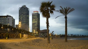 Umstürzende Palmen in Spanien