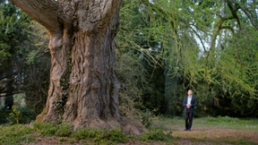 Gebt dem Baum bitte mehr Raum