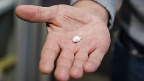 Europa wird mit Kokain überschwemmt