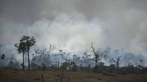 Bolsonaro verbietet Brandrodung für 60 Tage