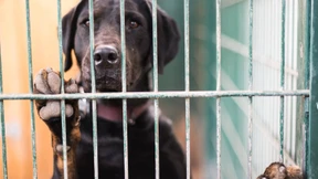 Keine Aussicht auf Soforthilfen für Vereine