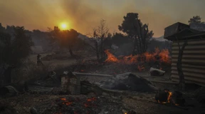 Kampf gegen Waldbrände