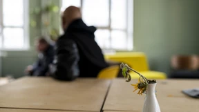 Warnung vor Kahlschlag