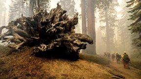 Sobald sie brennen, gibt es kaum eine Überlebenschance